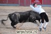 EL MOLAR (2)