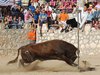 Montalbo (4)