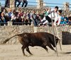 Montalbo (6)