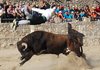 Montalbo (3)
