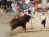 Montalbo (7)