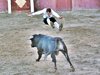 PAREJA-9-9-10-(15)
