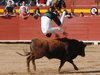 Requena-(34)