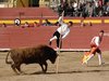 Requena-(20)