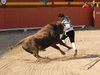 Requena-(11)