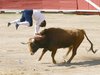 Requena-arte-y-emo-Ivan-(3)