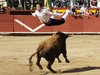 Requena-(17)
