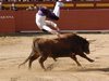 Requena-(18)