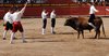 Requena-(40)