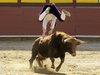 Requena-(29)