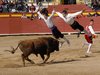 Requena-(23)