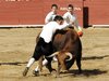 Requena-(36)