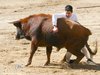Requena-arte-y-emo-Ivan-(8)