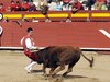 Requena-(14)