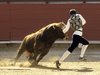 Requena-(12)