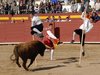 Requena-(25)