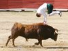 Requena-arte-y-emo-Ivan-(6)