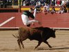 Requena-(19)
