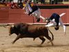 Requena-(21)