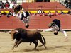 Requena-(31)