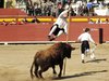 Requena-(28)
