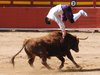 Requena-(33)