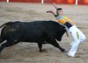 serracines8