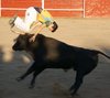 serracines12