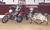 TOBARRA-10-40