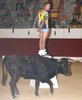 TOBARRA-10-43