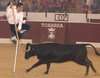 TOBARRA-10-21
