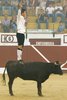TOBARRA-10-10