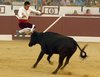 TOBARRA-10-14