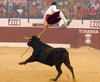 TOBARRA-10-16