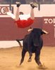 TOBARRA-10-18