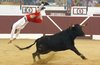TOBARRA-10-13