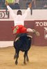 TOBARRA-10-17