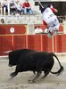 zamorajose1