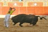 zamora2010