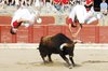 zamorajose15