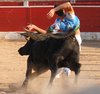 Alcaniz (9)