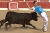 Alcaniz (7)