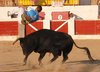 Alcaniz (4)