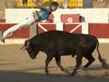 Alcaniz (12)