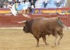 BENIDORM RECORTES11 (7)