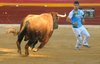 BENIDORM RECORTES11 (4)