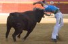 BENIDORM RECORTES11 (2)