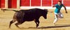 CALANDA ANILLAS (12)