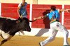 CALANDA ANILLAS (10)