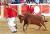 CALANDA ANILLAS
